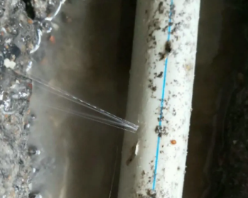 任县卫生间测漏水多少钱