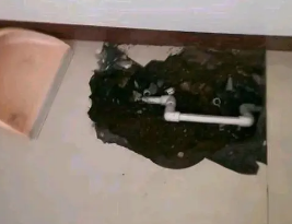 任县卫生间测漏水多少钱